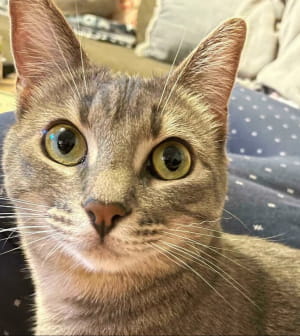 дивовижні явища природи, у які неможливо повірити