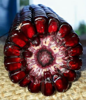 дивовижні явища природи, у які неможливо повірити