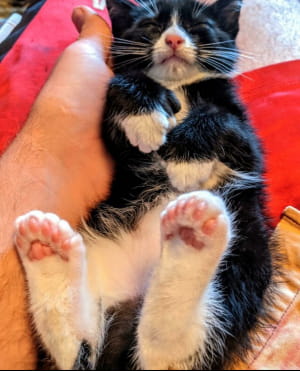 дивовижні явища природи, у які неможливо повірити