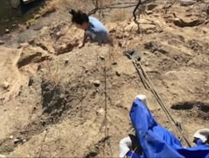 Порятунок песика на прізвисько Джессі Лі 