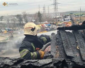 Пожар в Киевской области