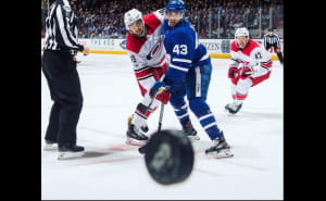 Забавные фото