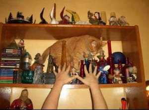 Забавные фото