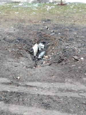Вийга на Донбассе