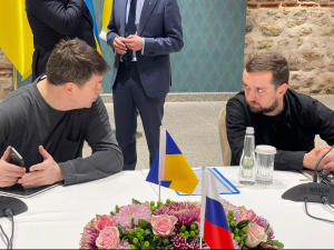 Представители украинской делегации: Д. Арахамия, А. Резников, А. Костин, Р. Умеров, М. Подоляк, М. Точицкий, К. Тимошенко
