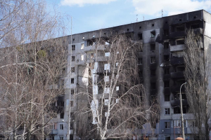 Бородянка