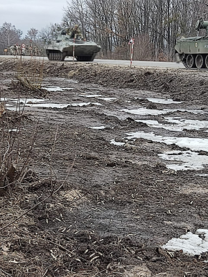 Остатки колонны российской бронетехники