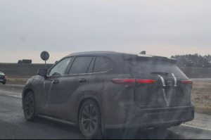 Вкрадені українські авто на дорогах Білорусі