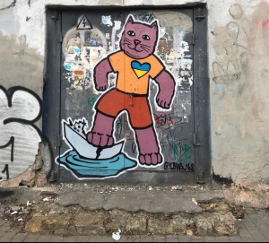 Котики
