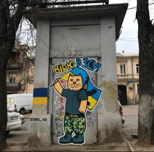Котики