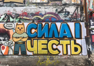 Котики