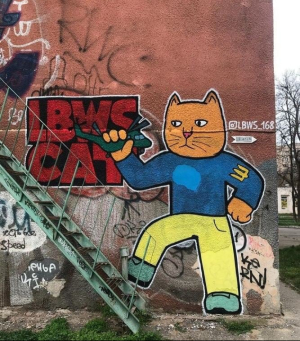 Котики