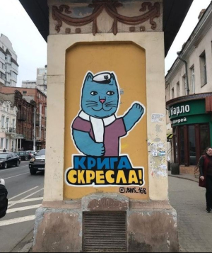 Котики