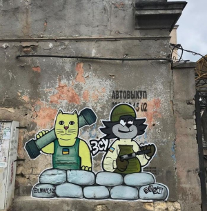Котики