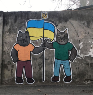 Котики