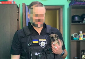 Цуценя