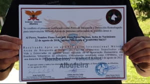 Обучение Фионы