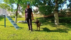 Обучение Фионы