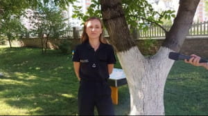 Обучение Фионы