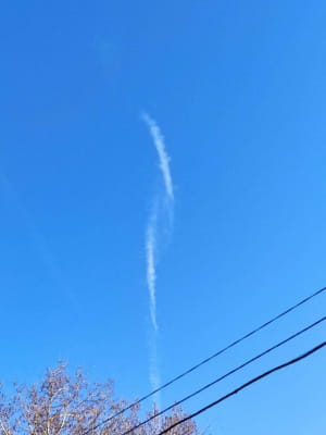 "Бавовна" у Севастополі