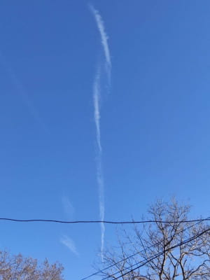 "Бавовна" у Севастополі