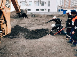 Порятунок песика