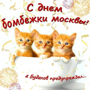 Реакция соцсетей