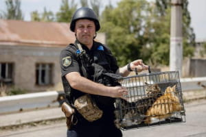 Евакуація на Херсонщині