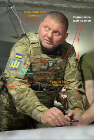 Залужный и нашивка