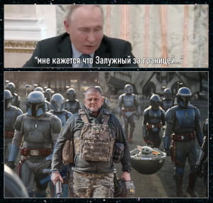 Залужный и нашивка