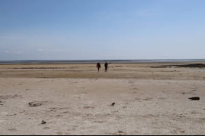 Водосховище