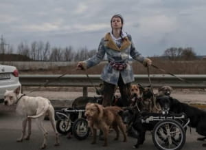 Зооволонтерка Анастасія Тиха з собаками