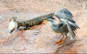 Фото з нацпарку
