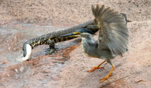 Фото з нацпарку