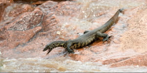 Фото з нацпарку