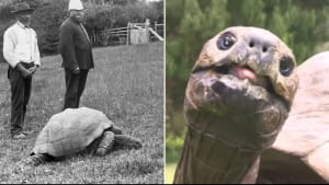 Джонатан 