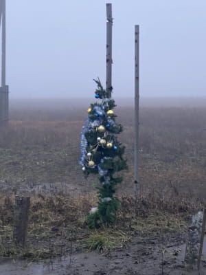 Фото из Бахмута