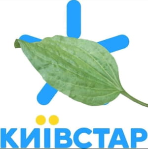 Мэм