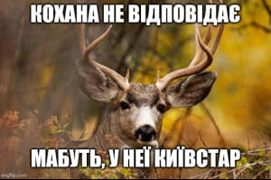 Мэм