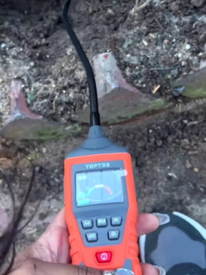 Собака и утечка газа