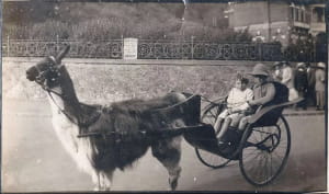 Фото з дитинства