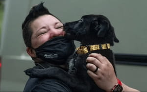 Історія про собаку