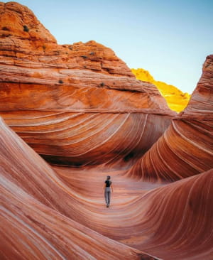 Хвиля (Аризона)