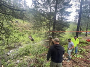 Рятувальна операція та ДТП