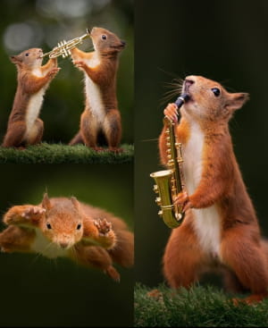 Фото