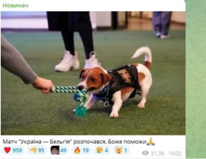 как украинцы отреагировали на "вылет" сборной из Евро-2024