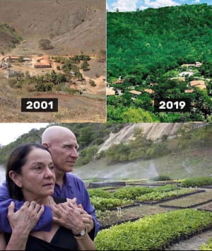 Когда фотожурналист Себастиао Сальгадо вернулся домой в 1994 году после репортажей о бегстве руандейцев в Конго, земля вокруг его семейного дома в Минас-Жерайс, Бразилия, была полностью уничтожена. Однако за 20 лет он высадил 2,7 млн деревьев и восстанови