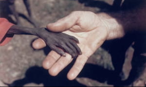 В 1980 году фотограф Майк Уэллс сделал эту фотографию католического миссионера, который держит за руку голодного мальчика из Уганды.