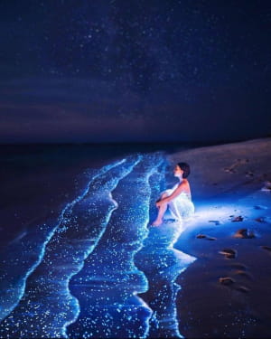 Ваадху, Мальдіви