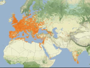 Где найдены римские монеты